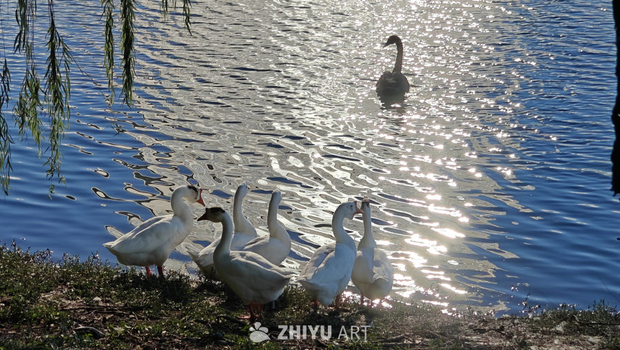 阳光是最好的滤镜