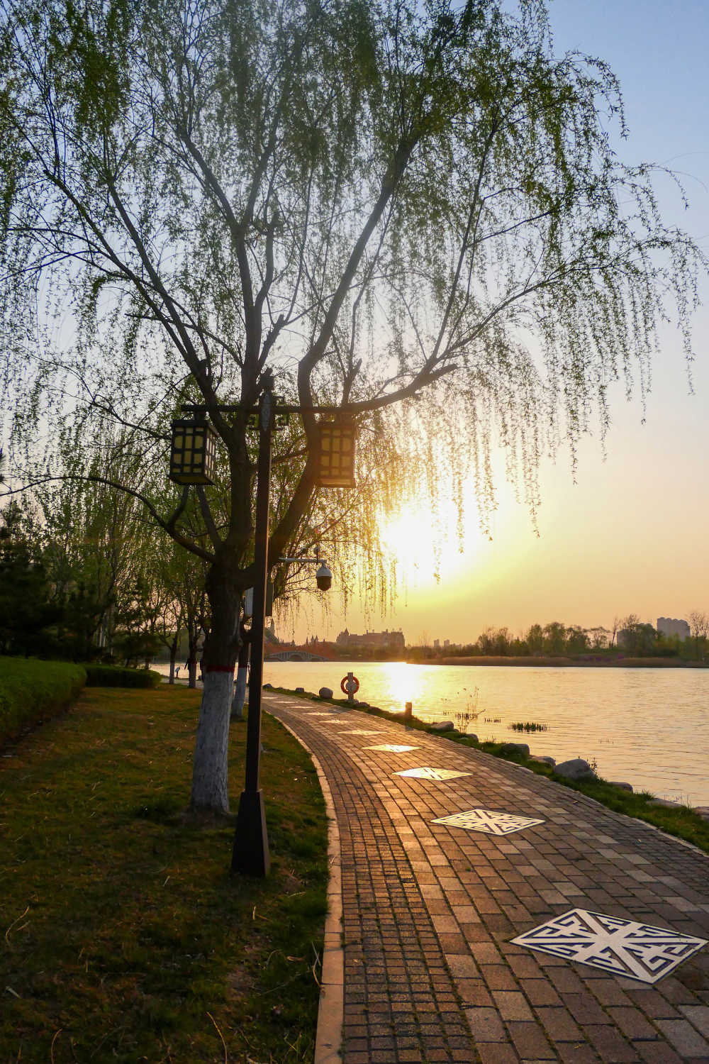 夕阳小道