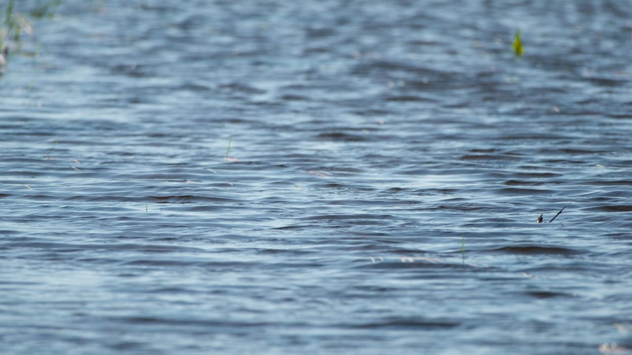 江河湖海洋水面海面波浪波纹海浪 22