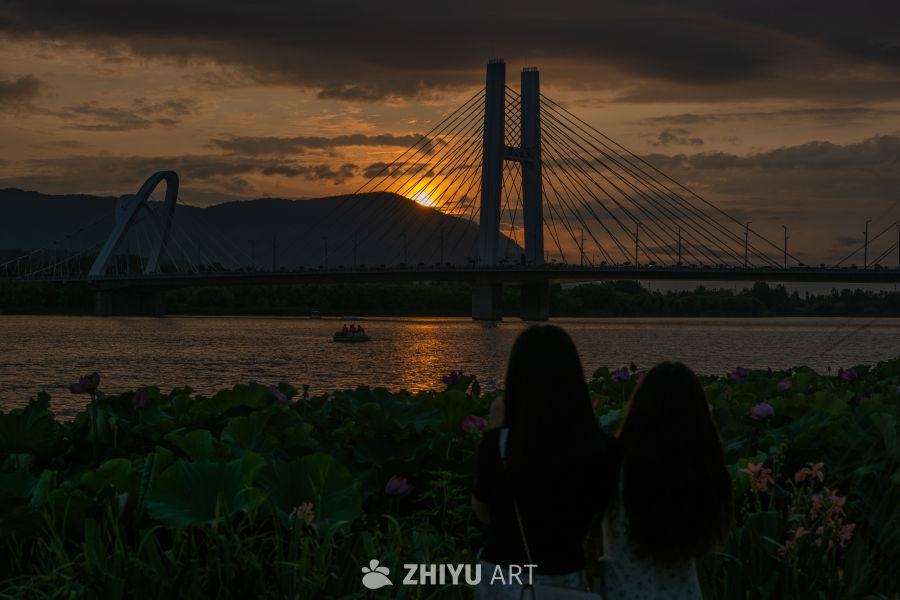 夕阳下的大桥 12
