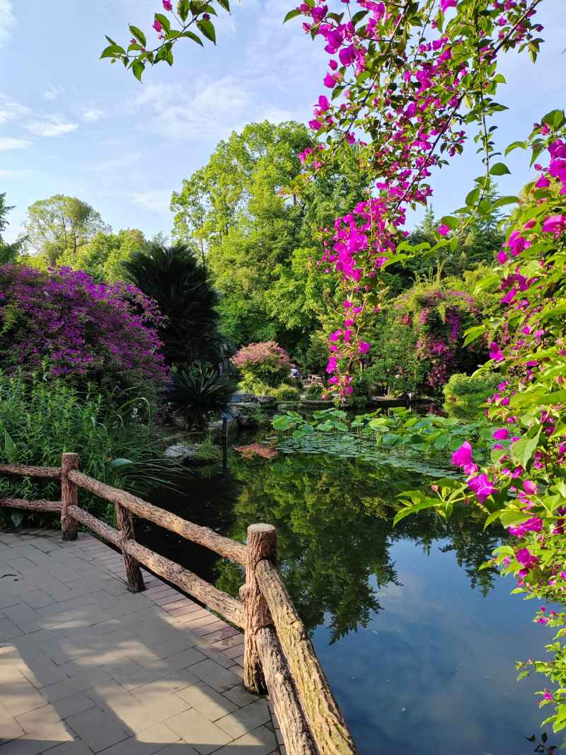 花田
