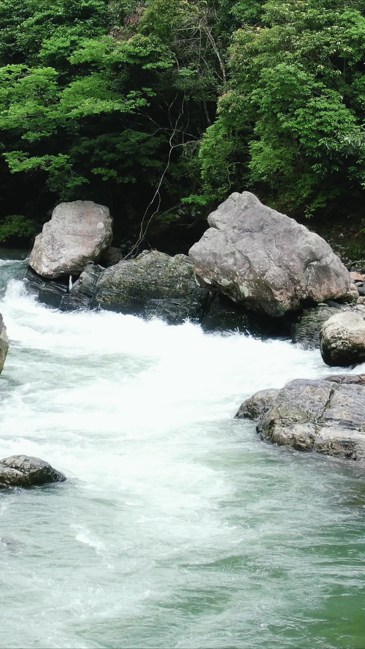  山间溪流流水竖屏航拍