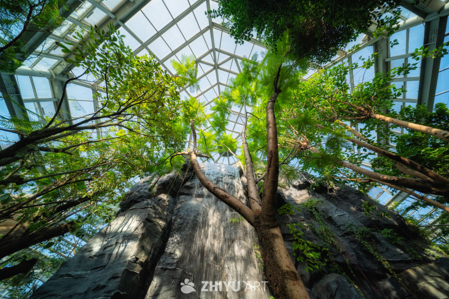 温室植物园，光影温馨 3