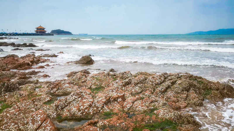 大海海洋沙滩礁石风景航拍摄影图 