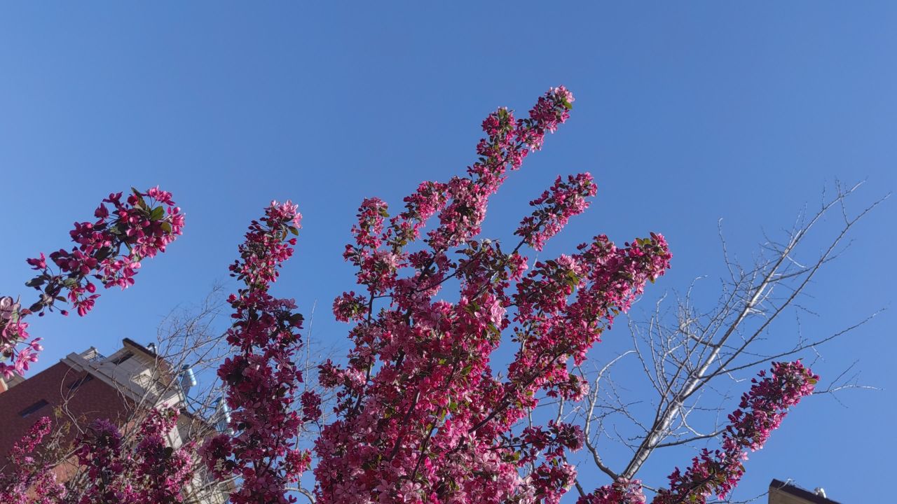春天