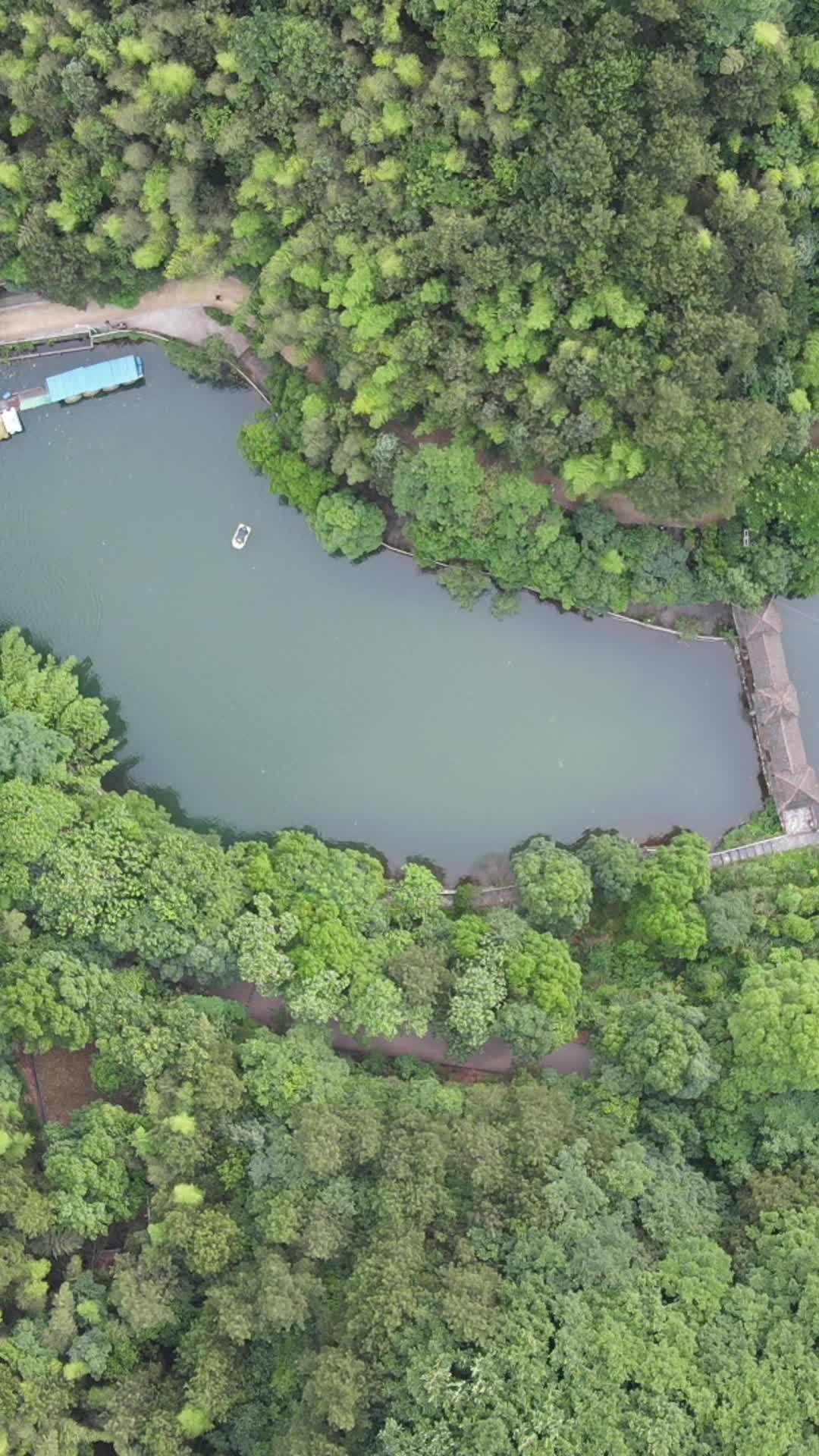 湖畔森林航拍