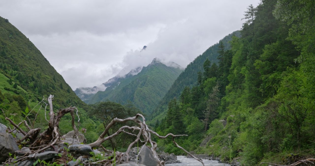 川西山谷云雾雪山自然风光实拍航拍壮观大气视频