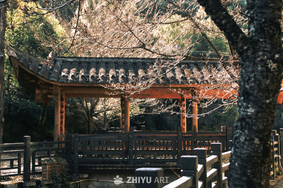 春日古亭静谧时光