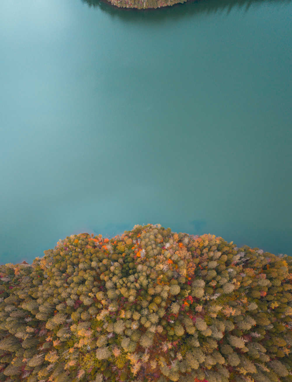 色彩斑斓的湖畔秋景