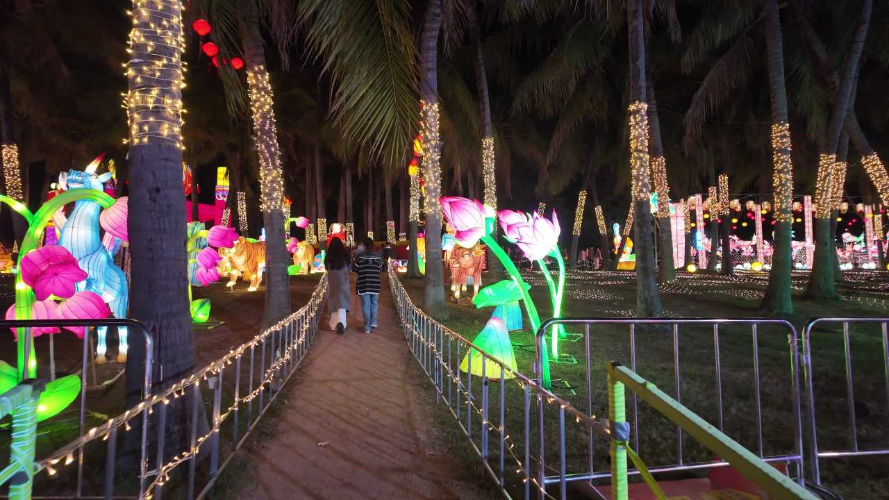 深圳湾超级灯会 28