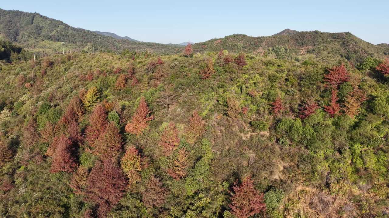 山间村落的秋日画卷