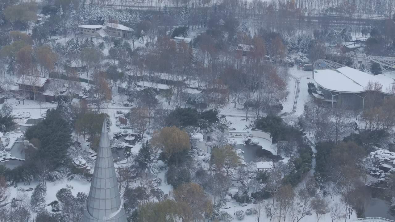 冬日雪景中的公园