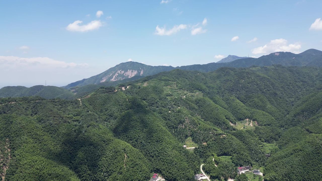 航拍南岳衡山5A景区竹林 