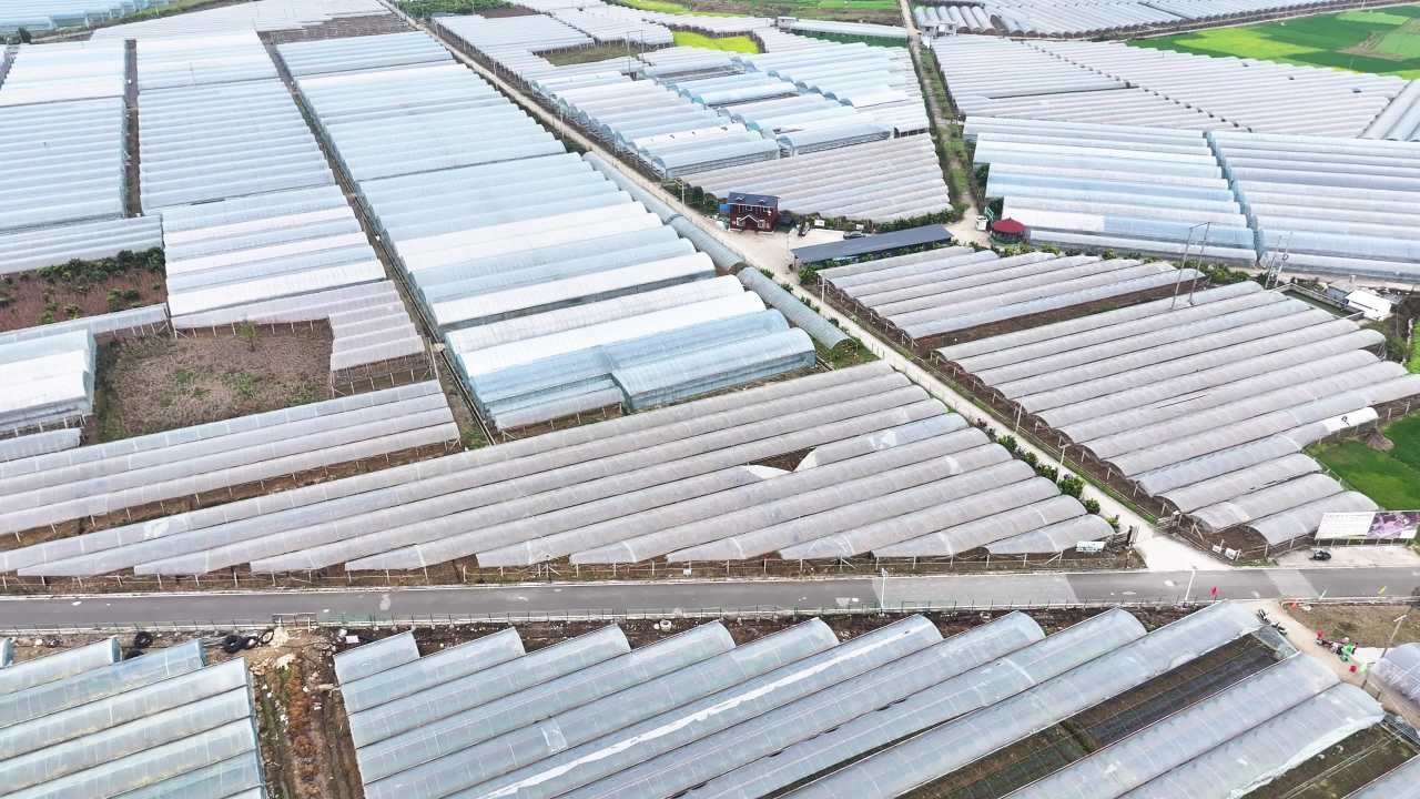 4k航拍现代农业  大棚种植基地