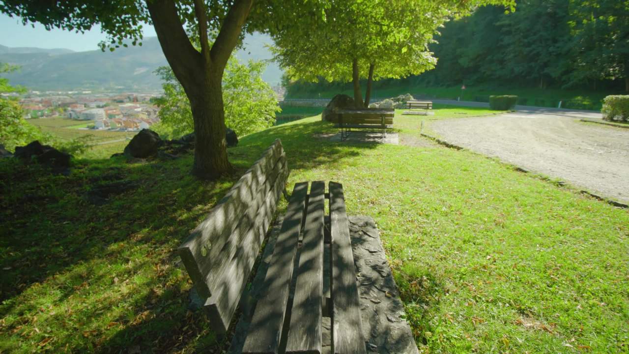 公园的午后时光