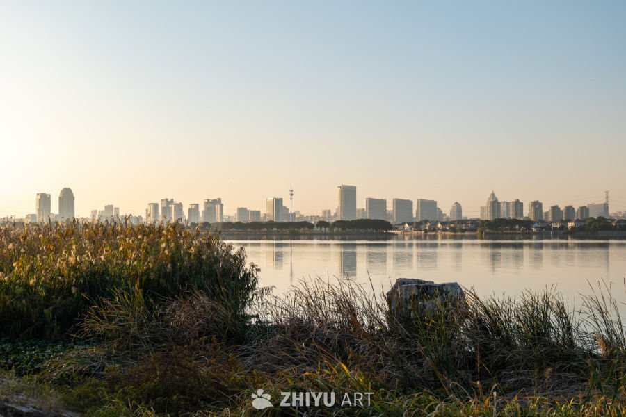 湖畔晨曦：城市与自然的交融