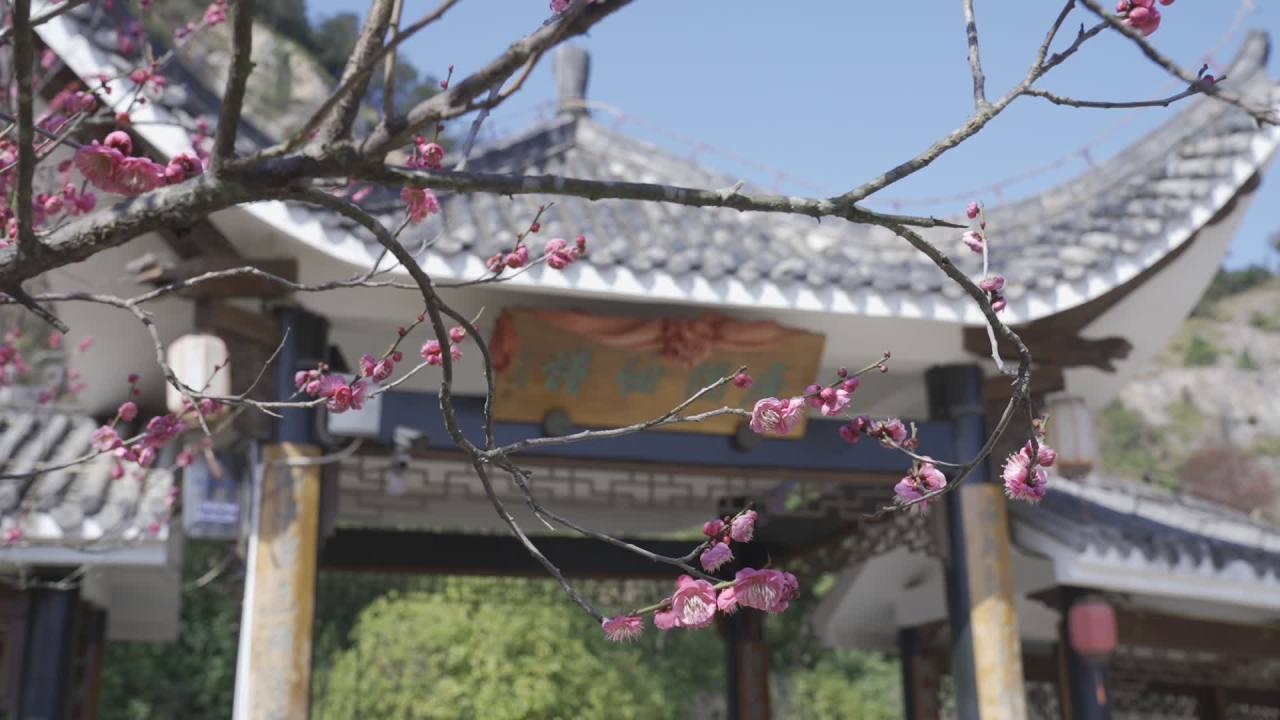 冬天的梅花 26