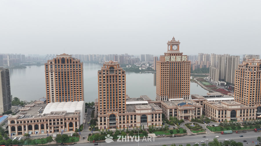 武汉阳逻港区 1