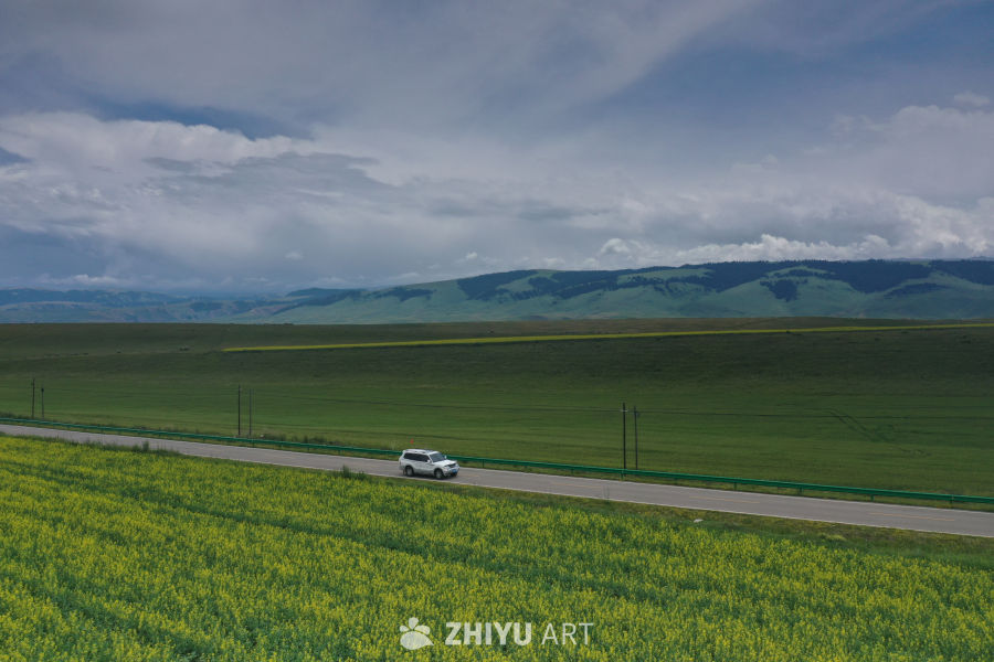 草原上的公路之旅