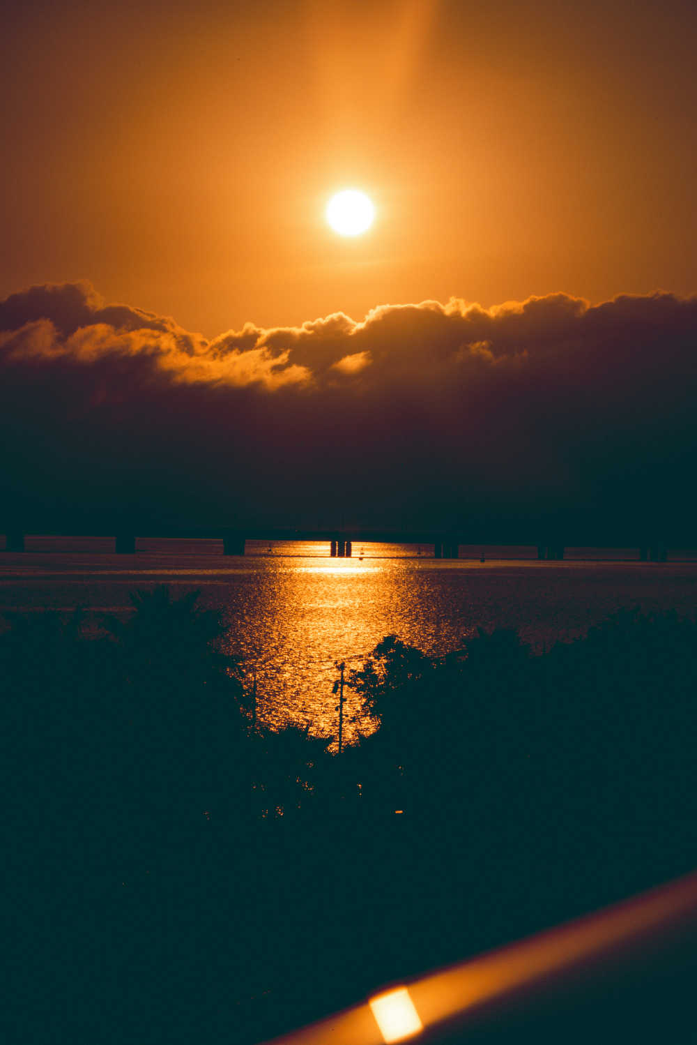 大海赴约