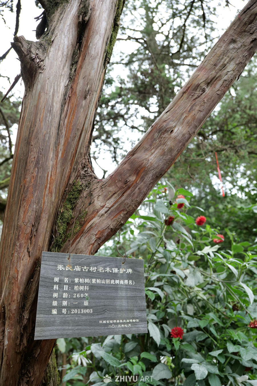 景区景色 141