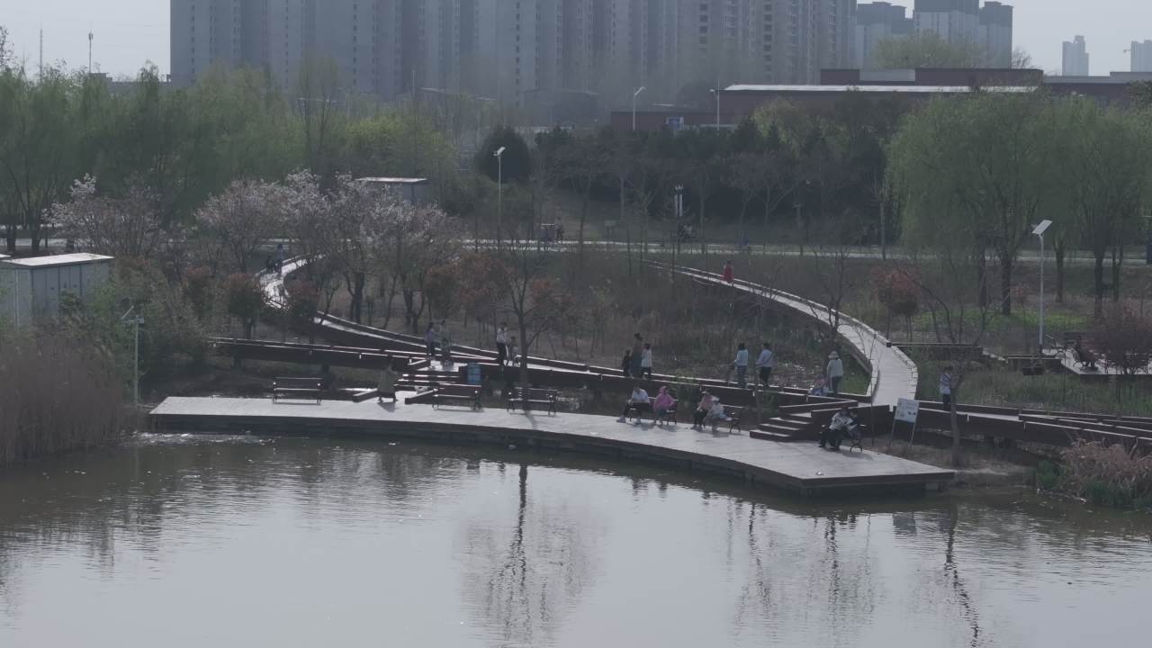 湖畔木栈道上的悠闲时光