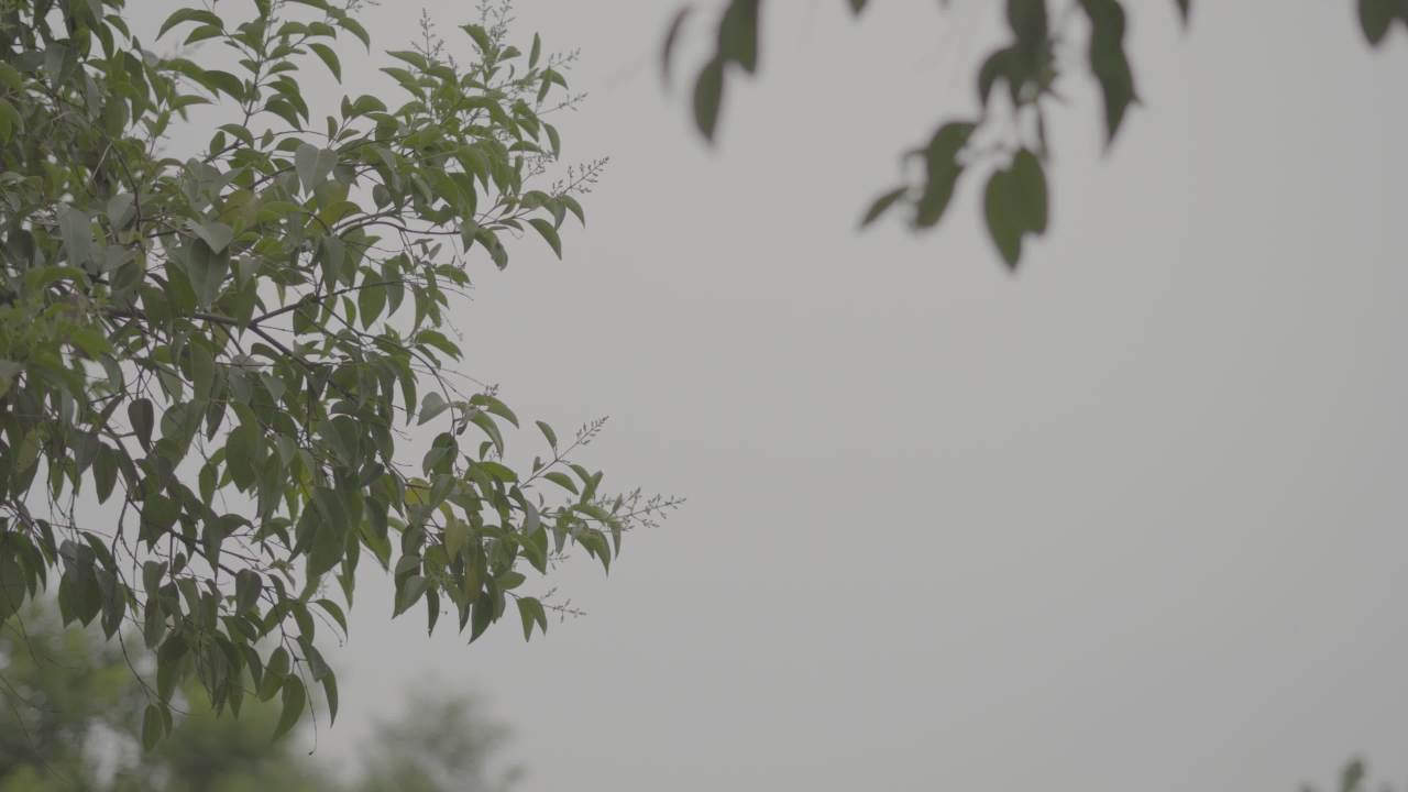 【实拍样片】索尼ZVE-10 4K实拍原片S-Log