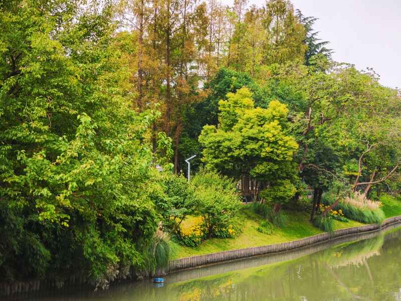 漕宝路河畔湿地公园