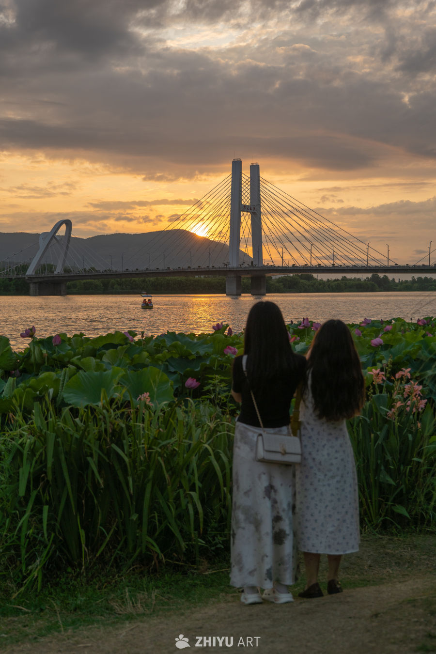 夕阳下的大桥 13