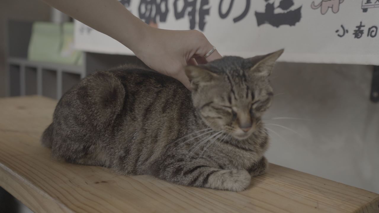 北海 21