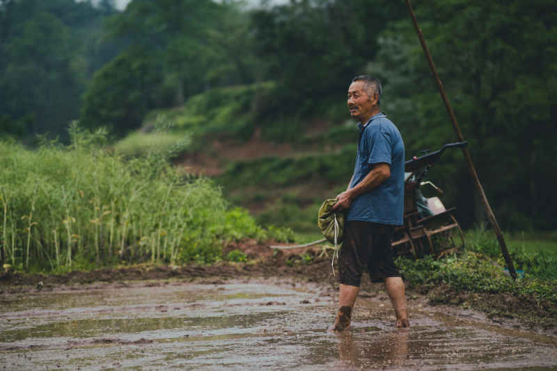 春种的农民
