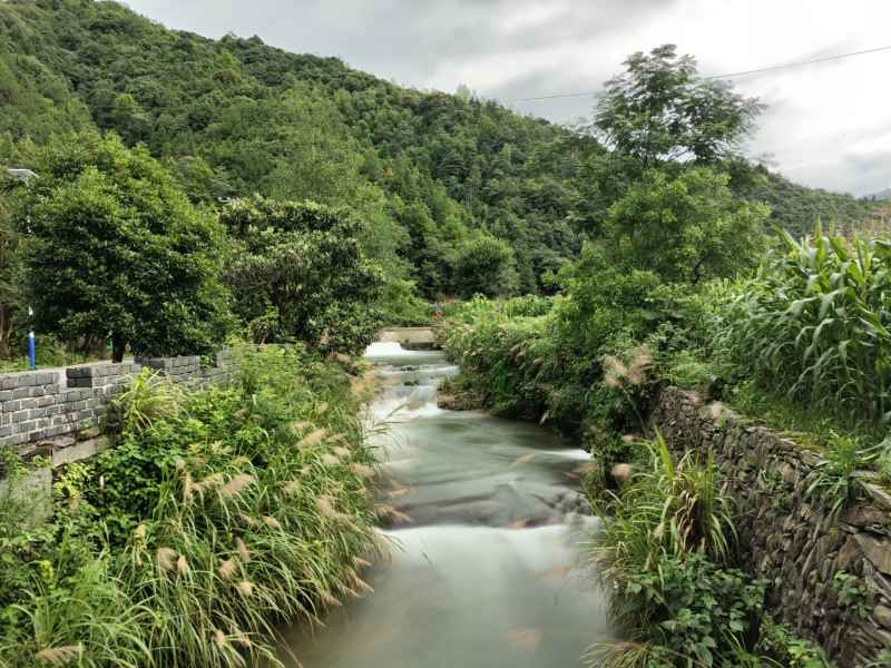 景德镇随拍 2