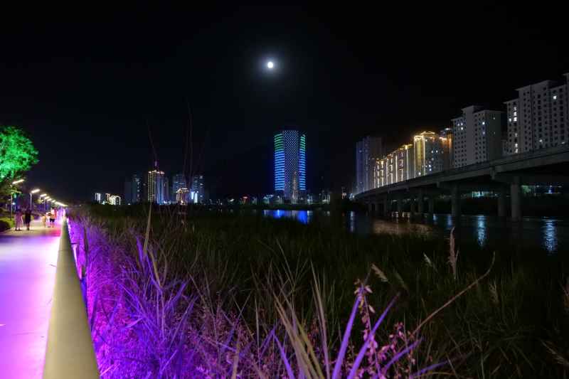 城市夜景 1