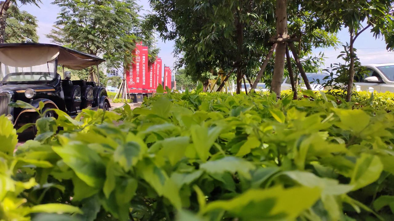走在草丛上感受大自然