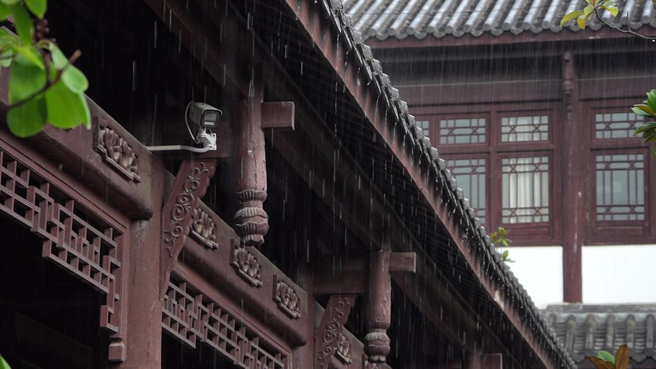 雨中屋檐滴水树叶一组 3