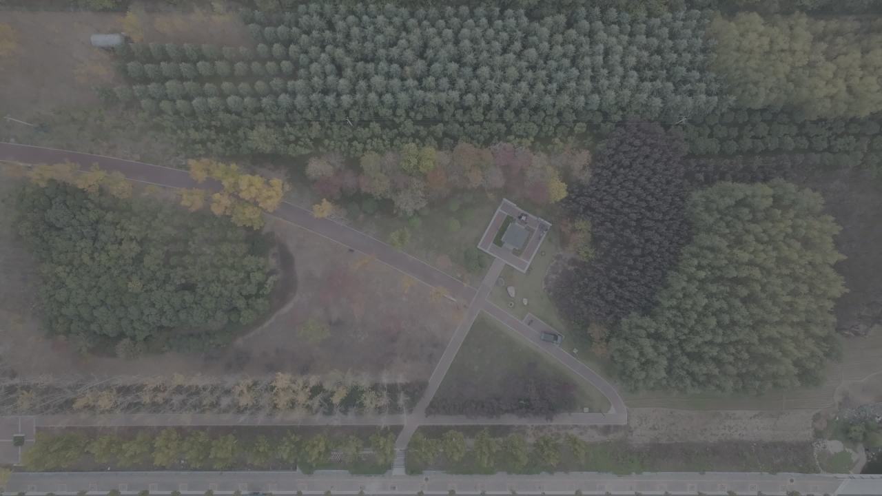 森林中的宁静角落