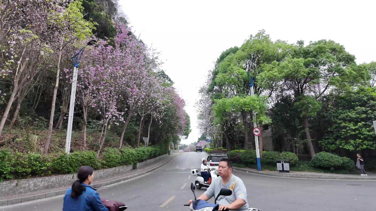 窗外 12