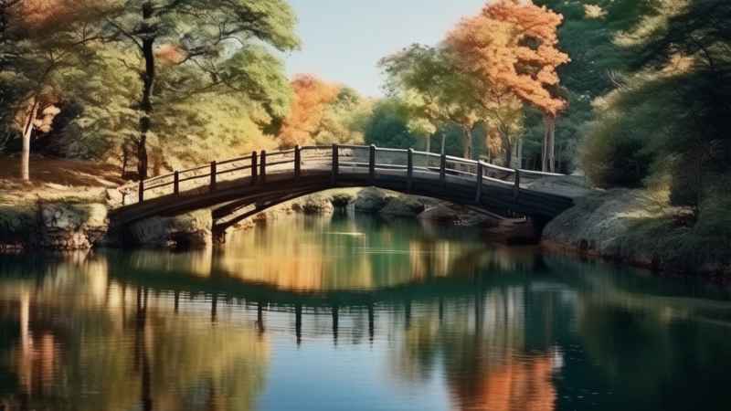 一条小溪旁一座小木桥横跨在水面上 11