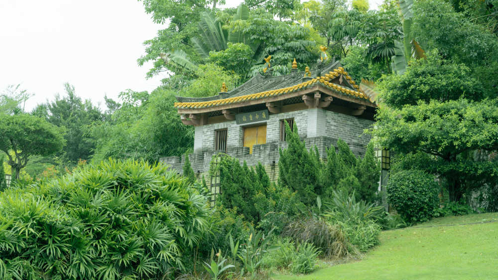 绿色深圳