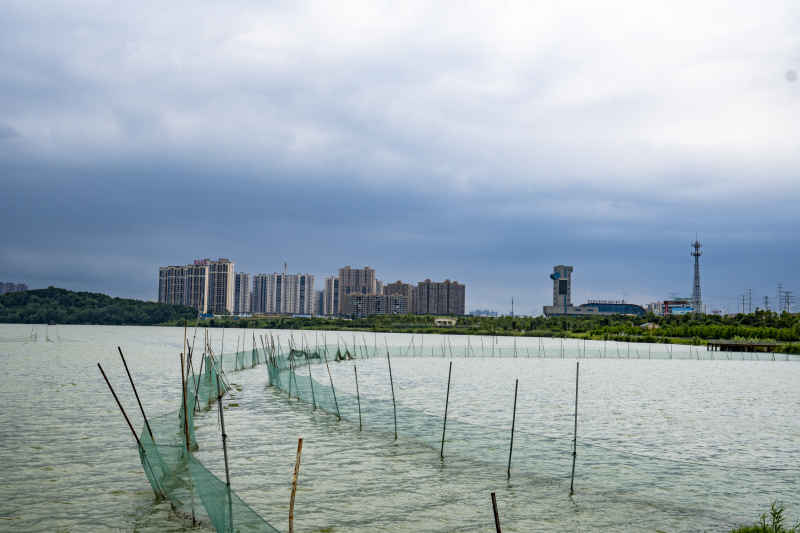 湖南岳阳芭蕉湖风光