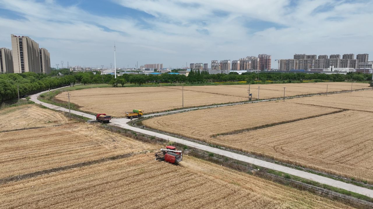 4K航拍昆山农业夏收 53