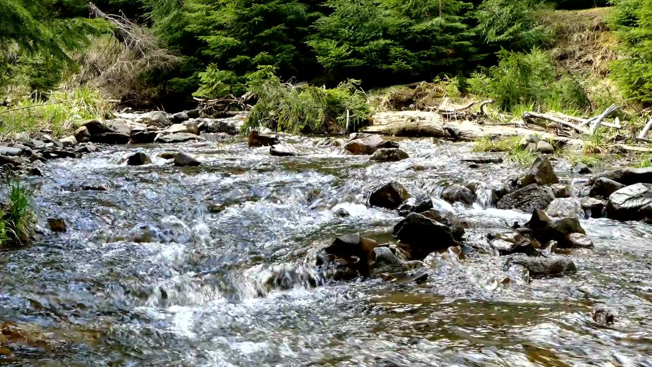 声音小溪河山区河流