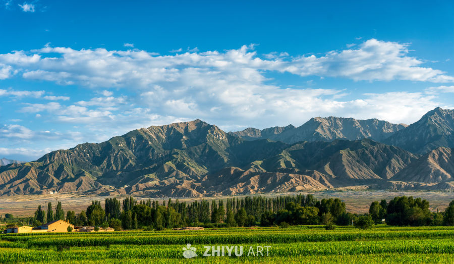 M3_01880 拷贝-DeNoiseAI-clear