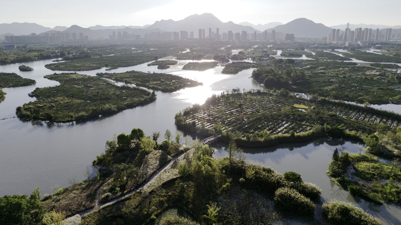 温州三垟湿地风光 14