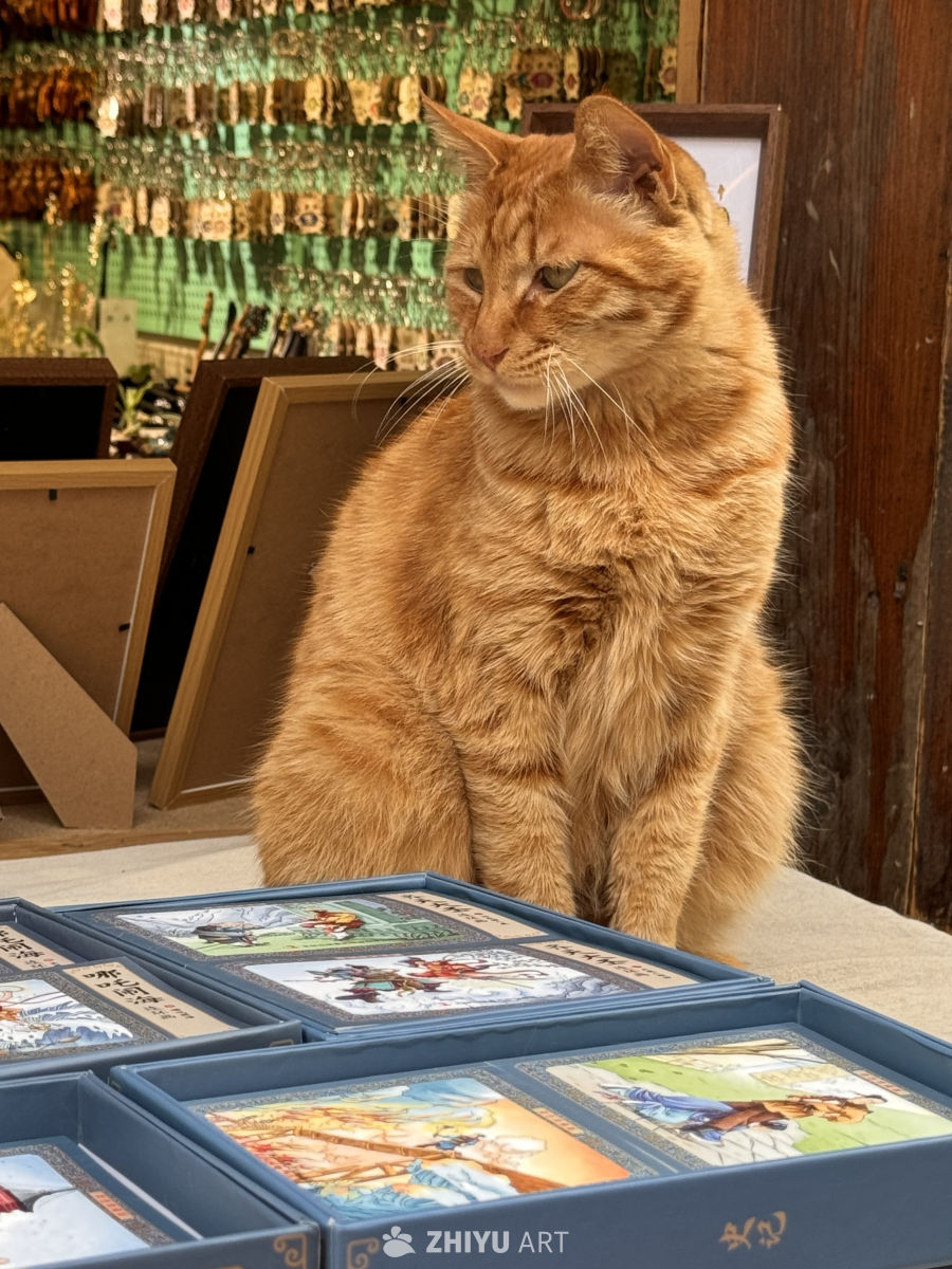 橘猫静坐饰品店