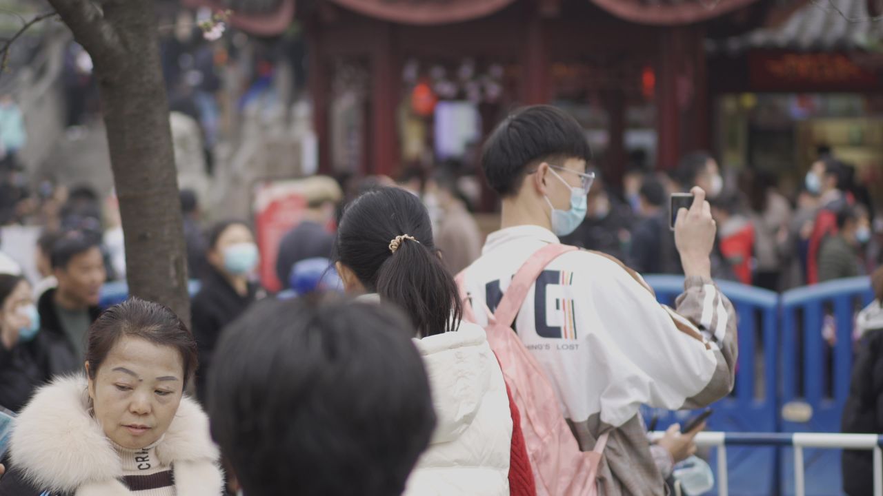 南京樱花