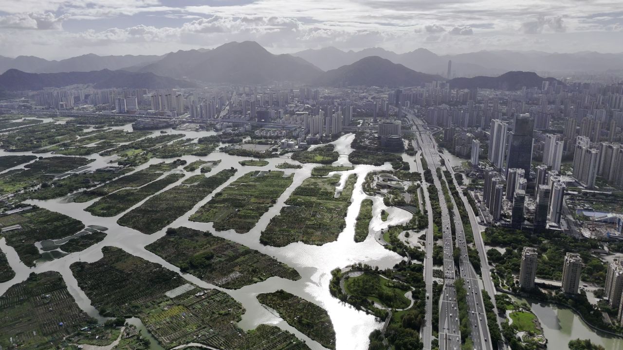 湿地与城市 4