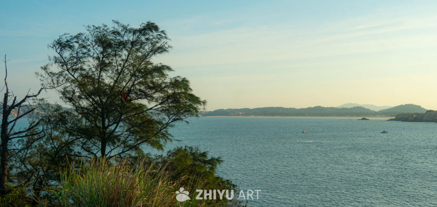 海边树影下的宁静时光