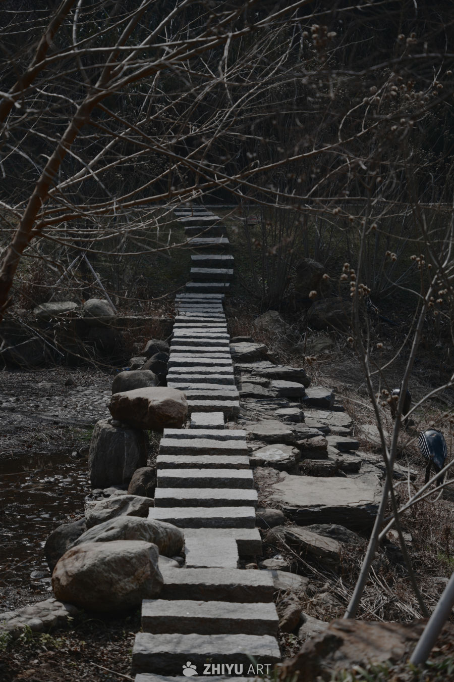 石阶小径通幽处