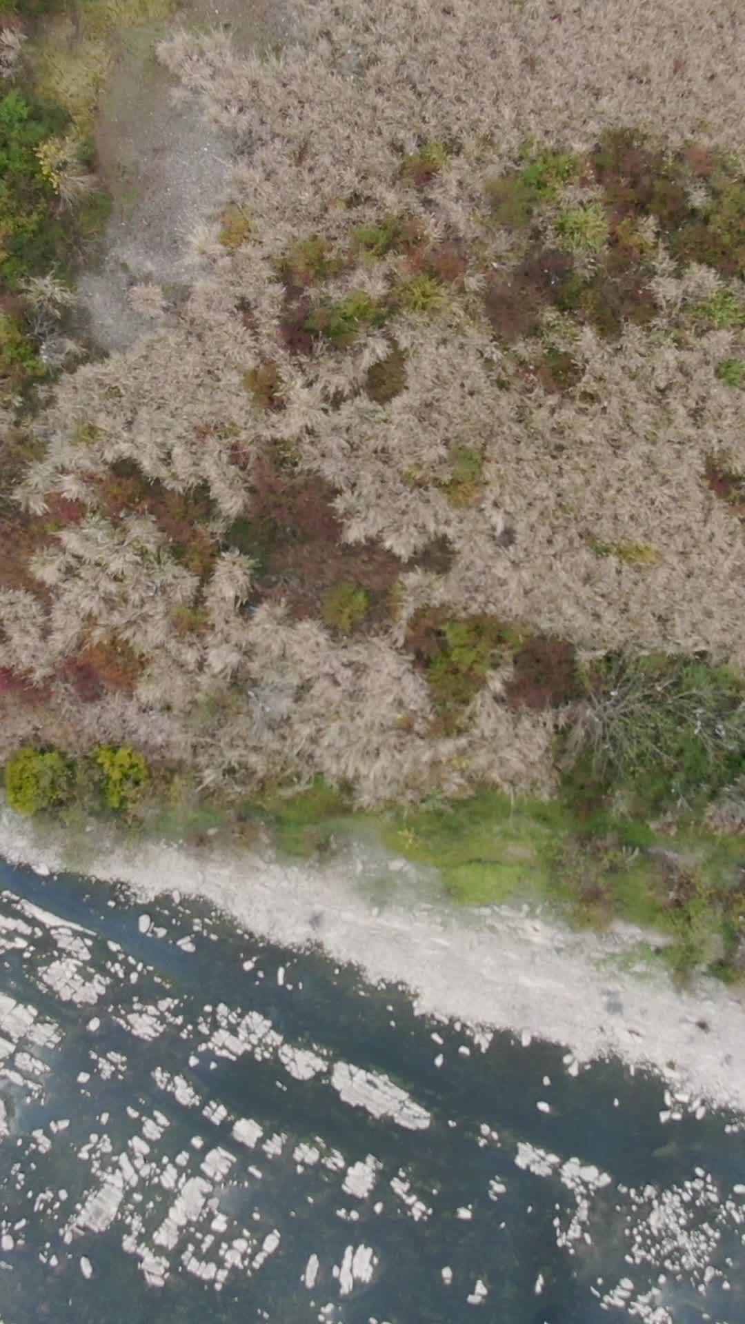湿地航拍